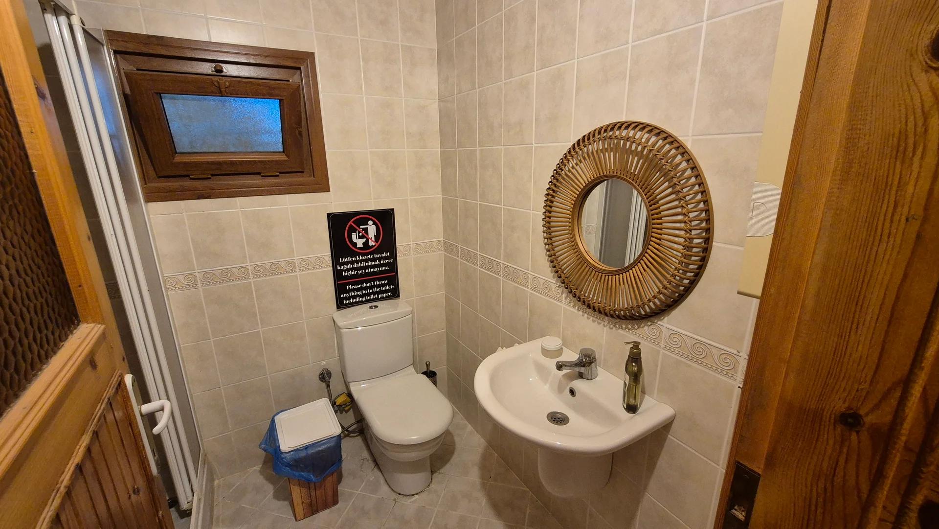 Şile'de Nehir Kıyısında Minik Taş Ev 3