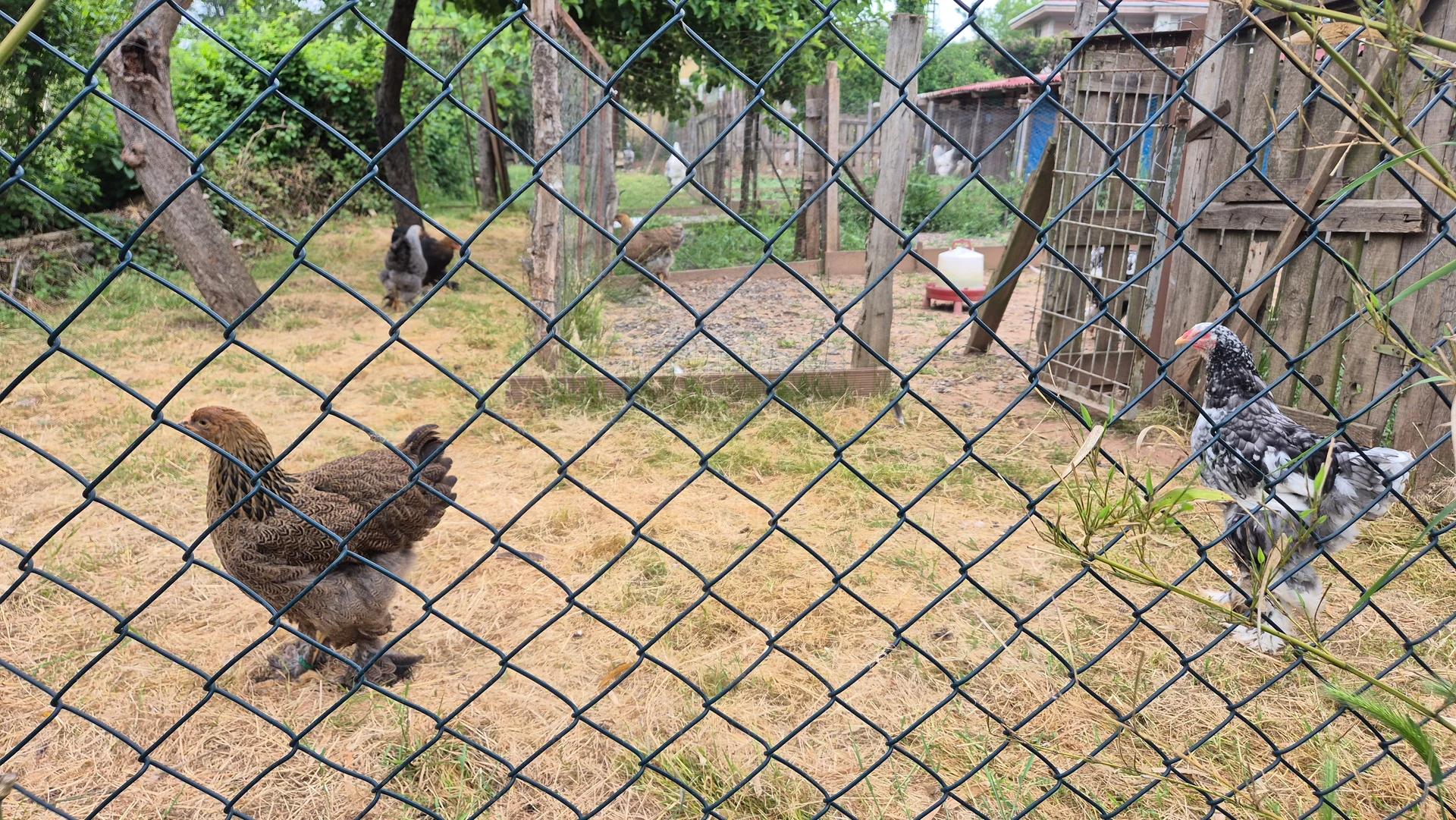 Şile'de Nehir Kıyısında Minik Taş Ev 4