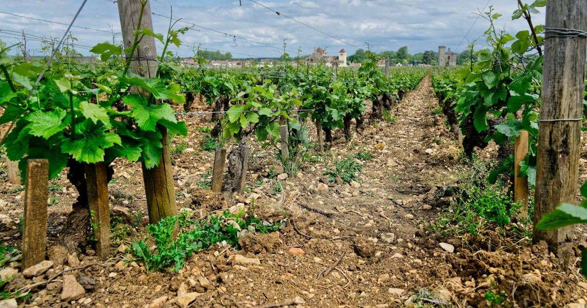 Bozcaada'da Villa Kiralama